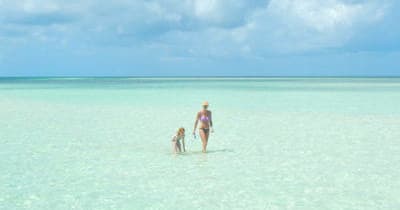 Eco Tour - Half Day Charter