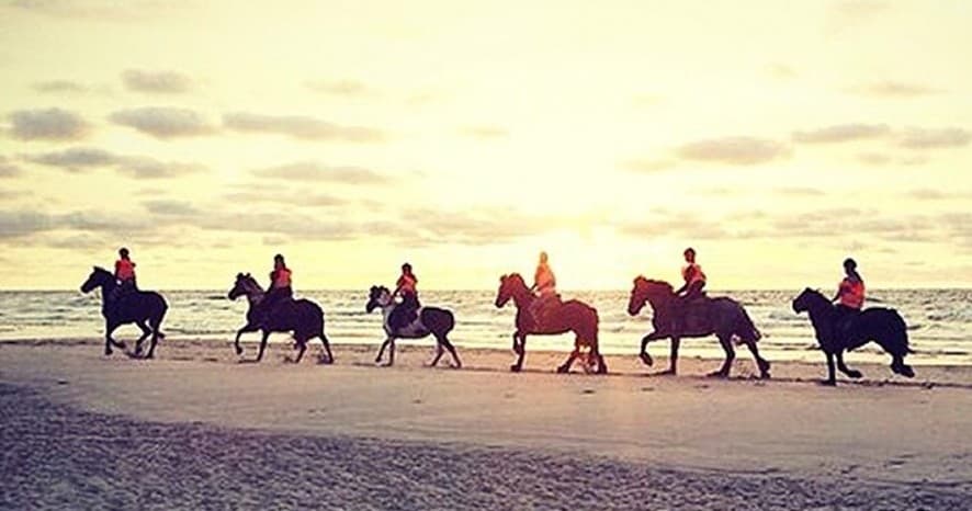 Horseback Riding Adventure with Huifkarbedrijf Terpstra at North Sea