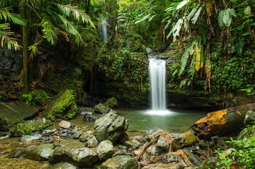 Full Day Rainforest Adventure with In to PRdise in San Juan