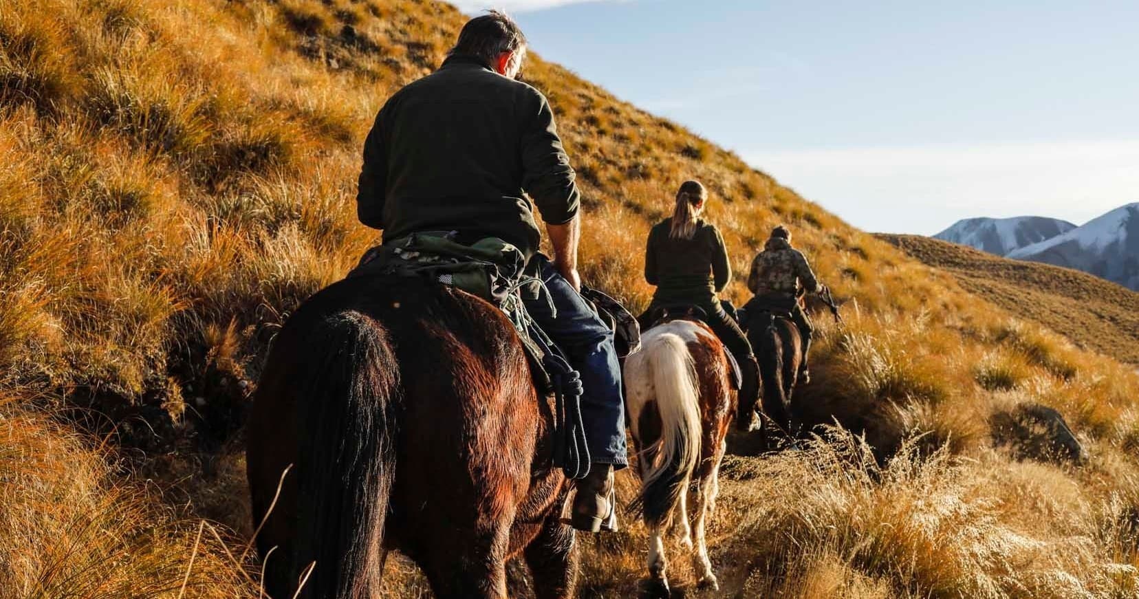 Rear view of riders on steep golden hillside during horse trek