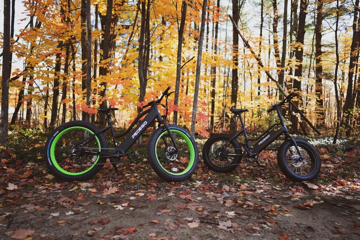 Mountain bikes parked among autumn trees on forest trail