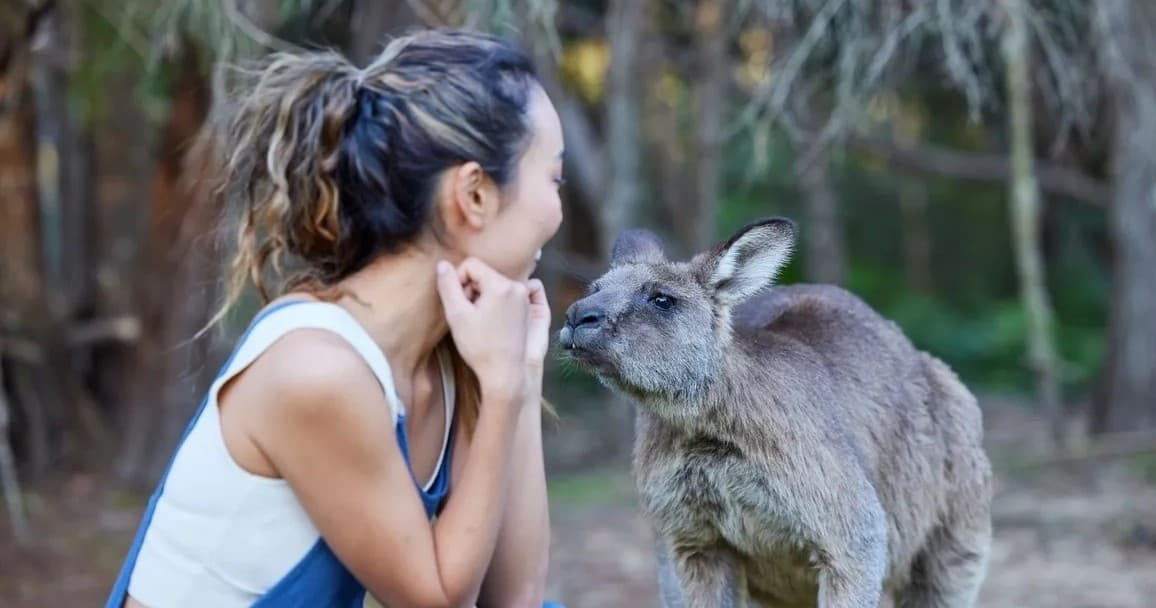 Wallabies & Wine: A Perfect Day Exploring Hunter Valley’s Wildlife and Wineries