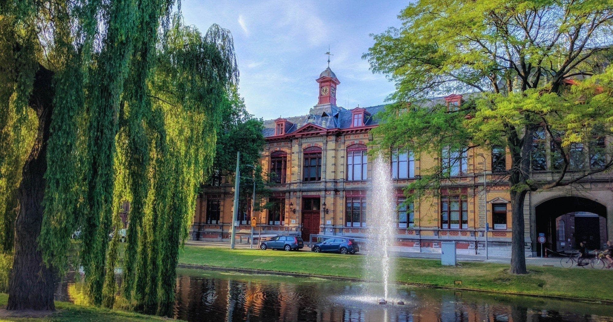 Discover Rotterdam's Hidden Gems on a Unique 3-Hour Bike Tour
