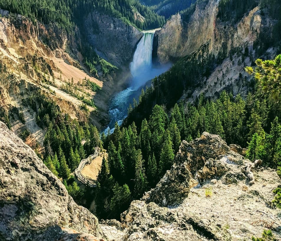 Wildlife Safari with Ascension Tour Guides in Grand Teton & Yellowstone