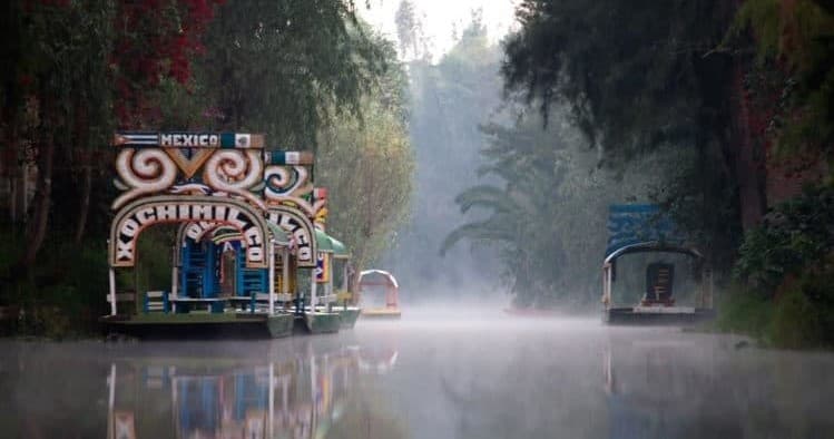 Coyoacán & Xochimilco Cultural Boat Tour by Travis Adventures