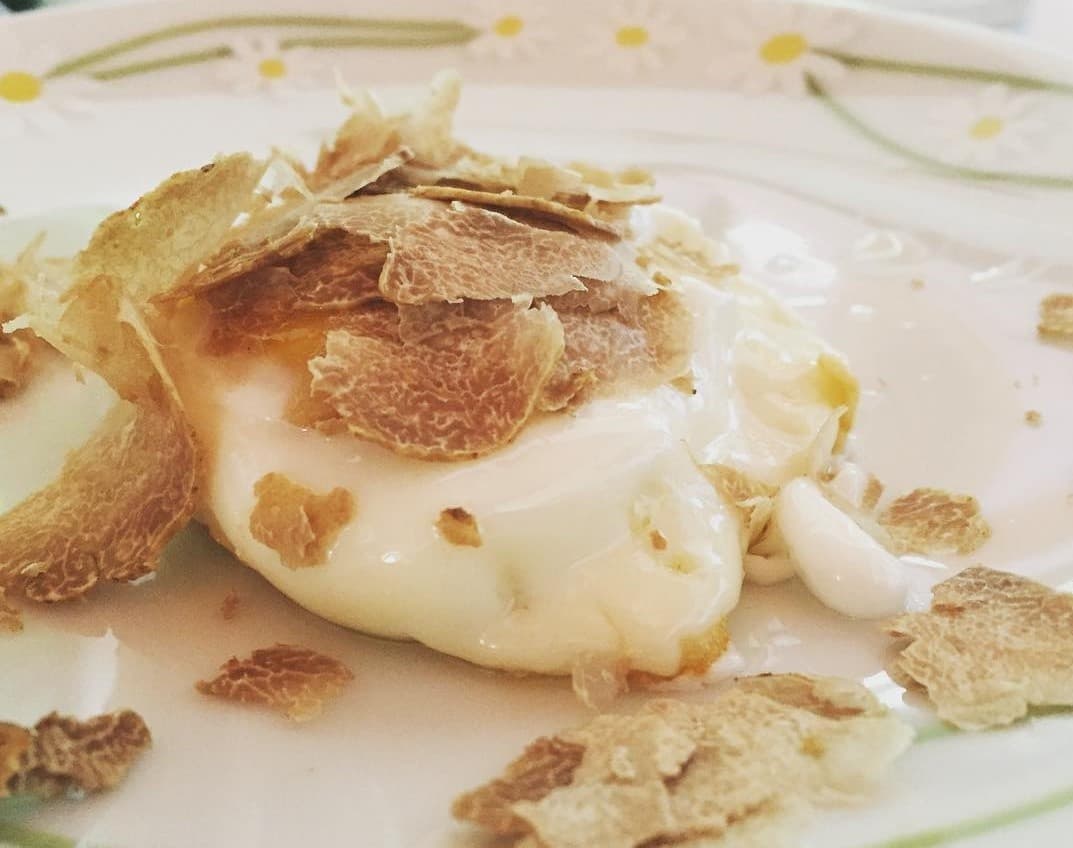 Truffle Hunting & Tasting Near Turin, Italy