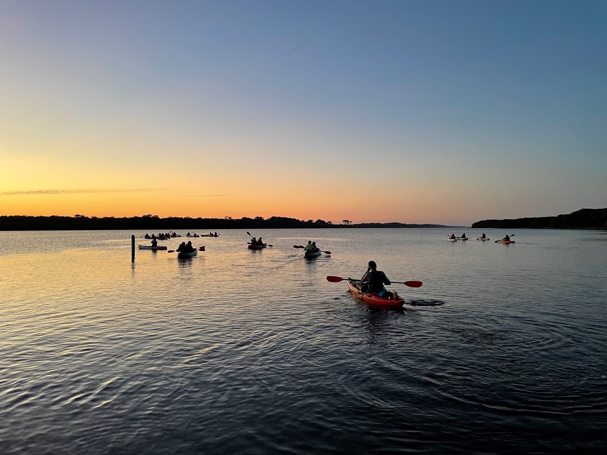 Sunset kayakers silhouetted on wide estuary calm waters