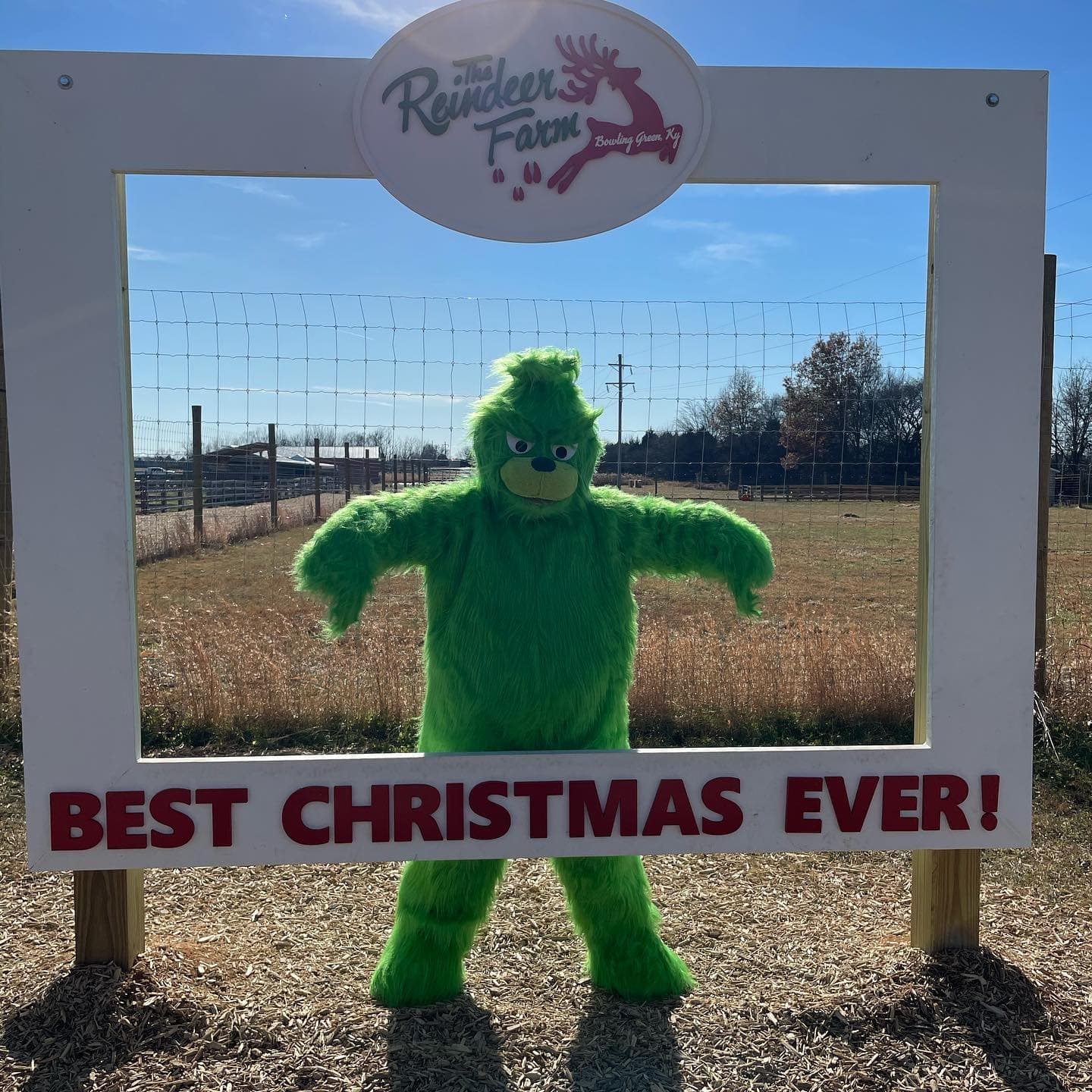 Family Adventure & Dining at The Reindeer Farm