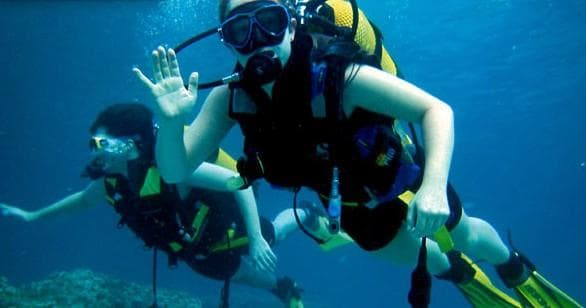 Scuba Diving Experience at Dive Isla Bella
