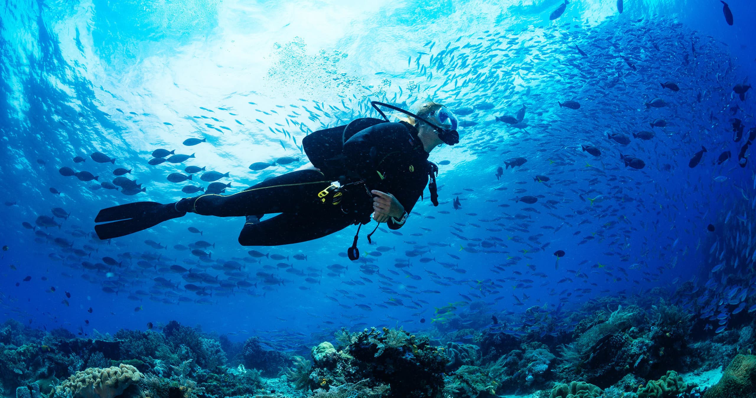 Solo diver silhouette swimming above reef in clear blue sea