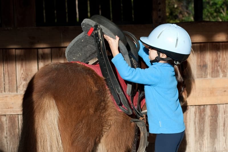Equestrian Kids: Pony Pals at Donegal Equestrian Centre