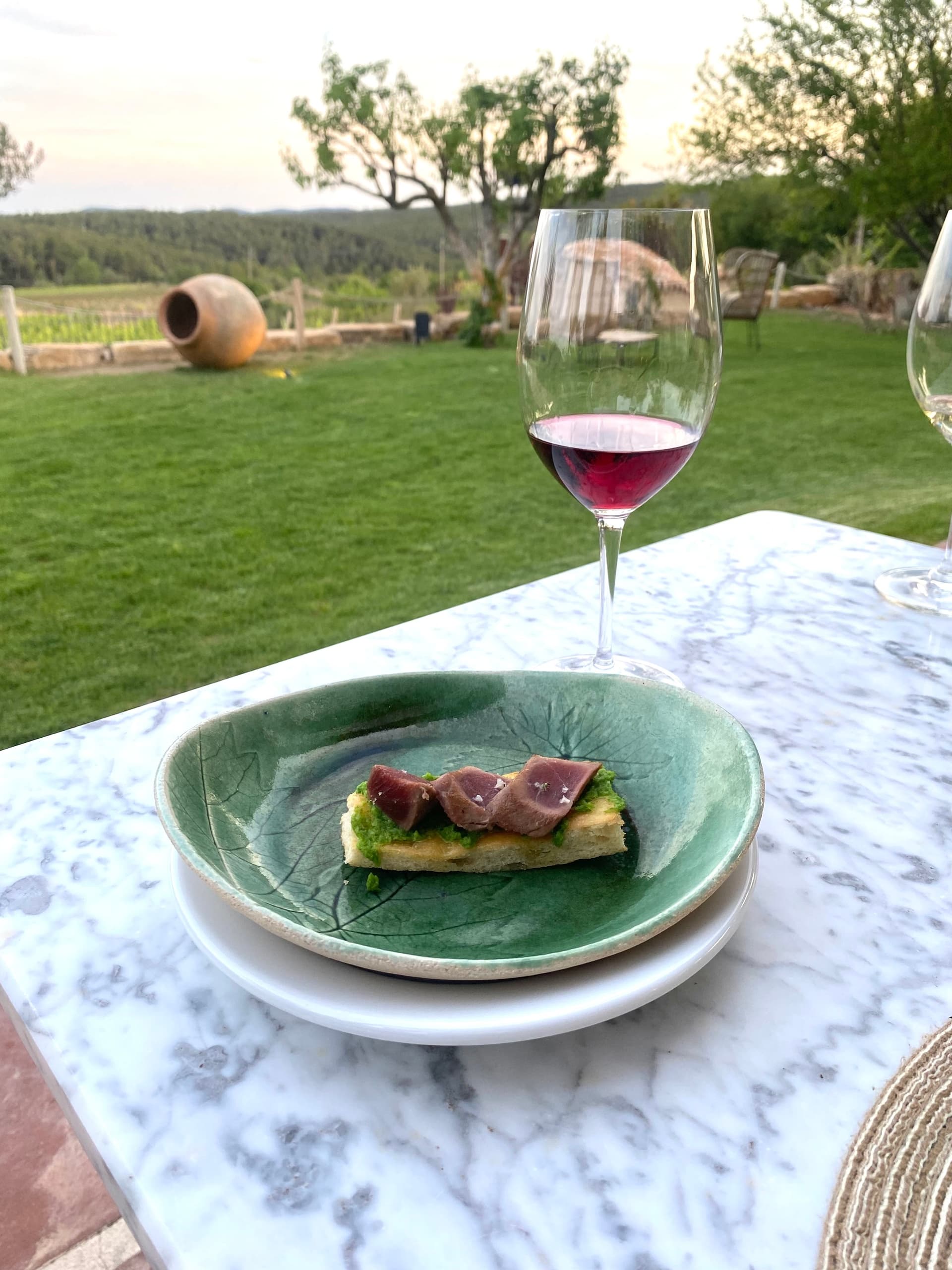 Wine glass and appetizer on terrace overlooking green vineyard