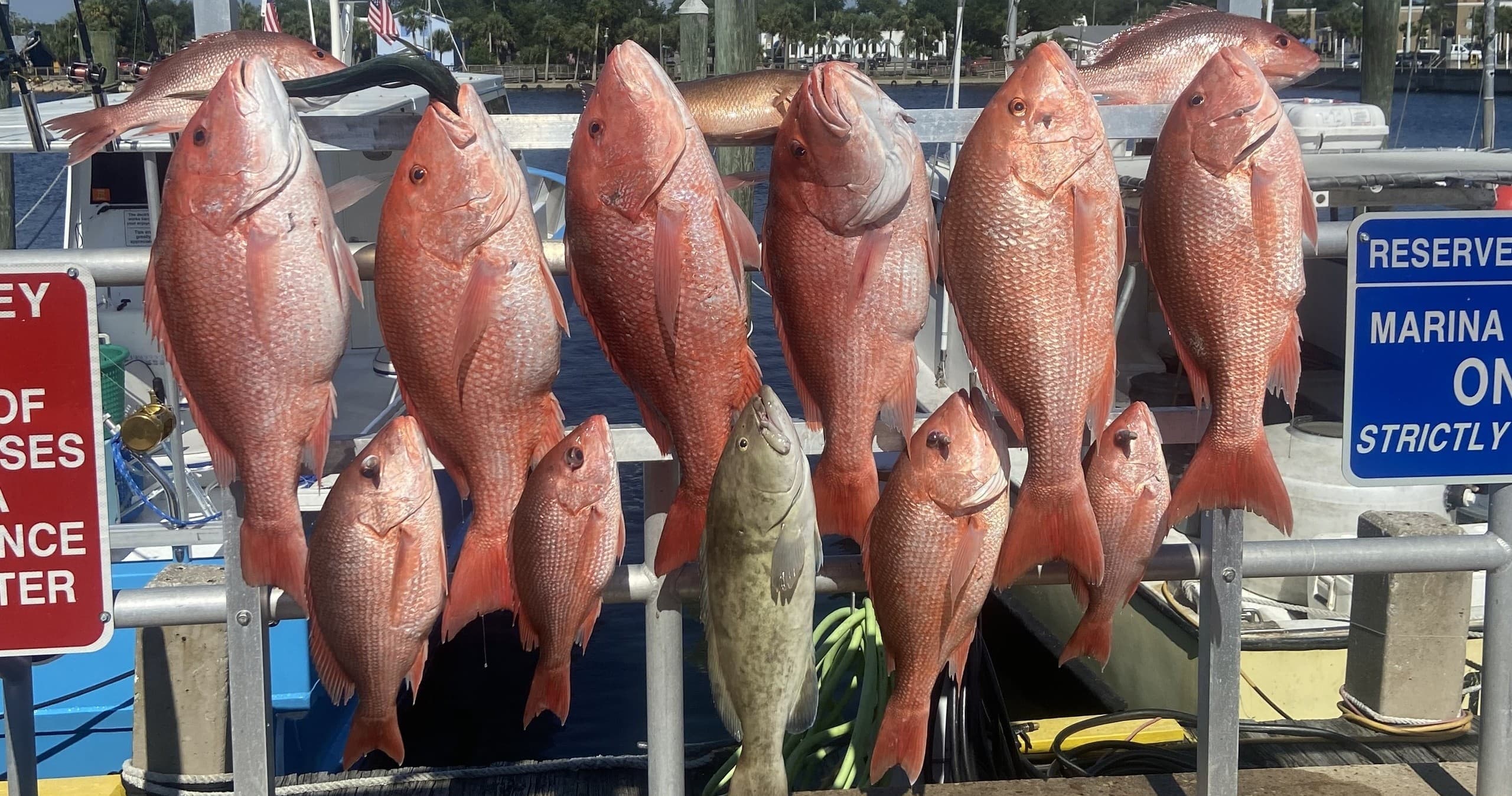 Offshore Fishing with GoldenRod Charters in Panama City