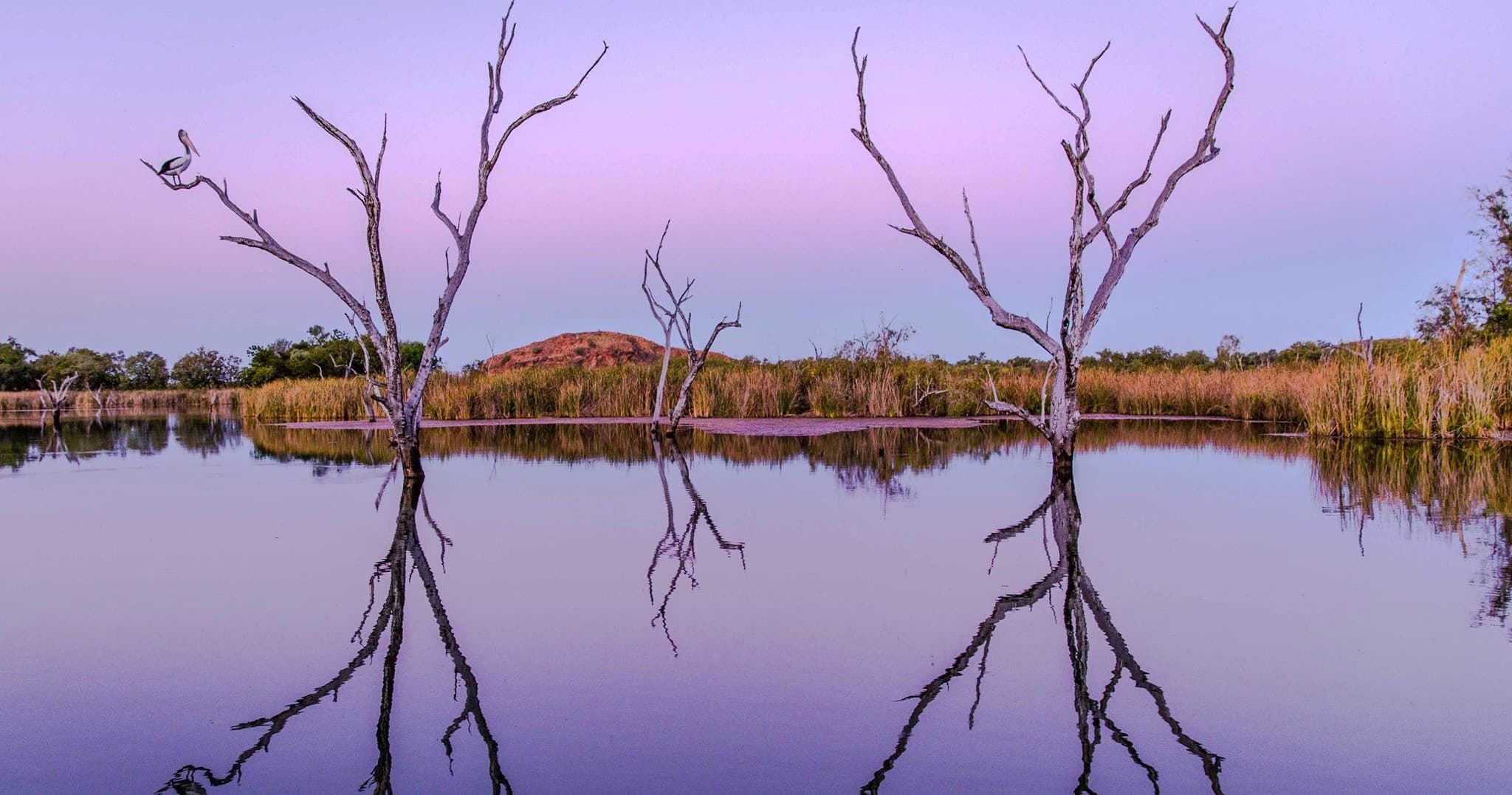 Sunset billabong with mirrored dead trees in Kununurra