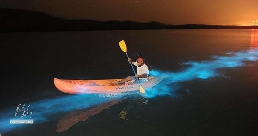 Magical Biobay Tour in Vieques, Puerto Rico