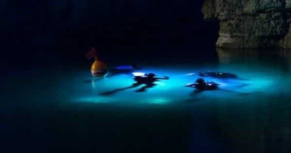 Night Boat Dive Adventures with Jervis Bay Sea Sports