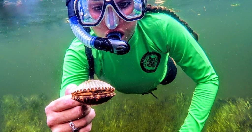 Half Day Scallop Trip Private Charter in Tarpon Springs