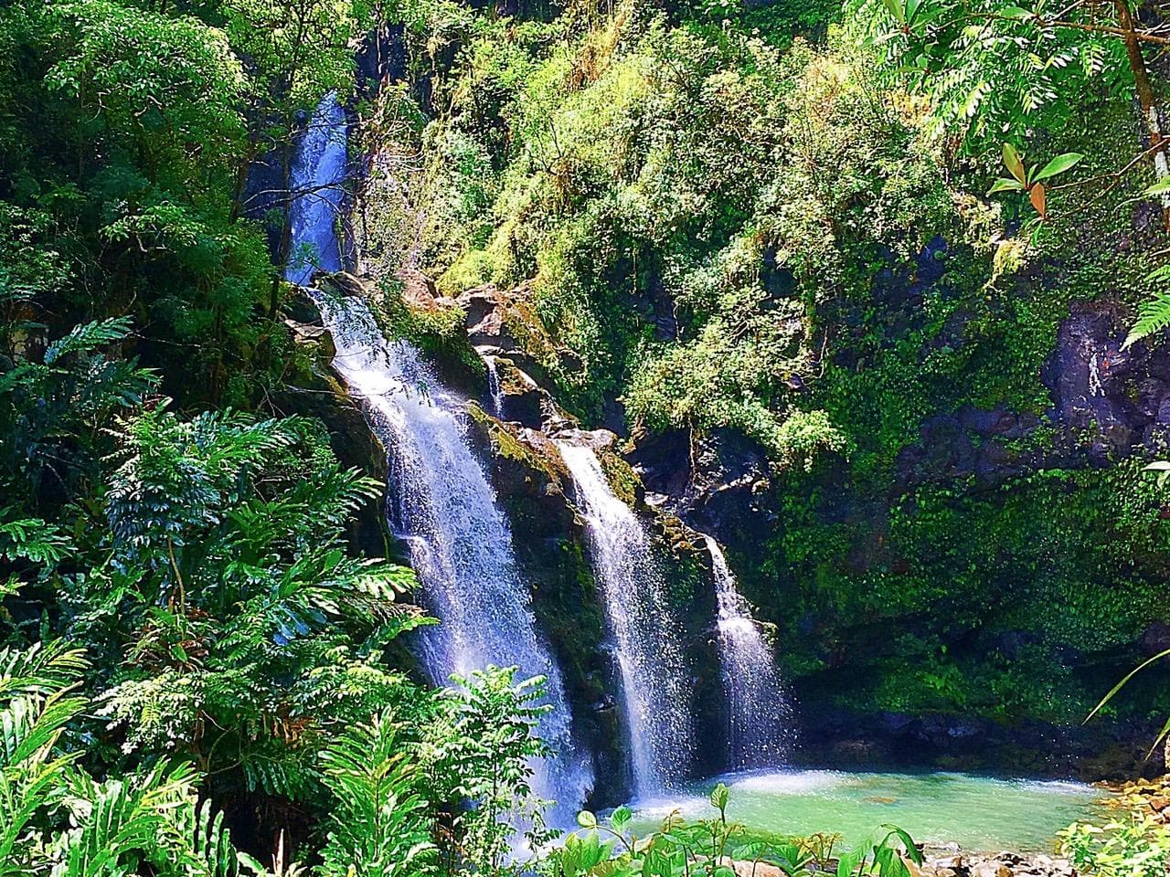 Road to Hana Rainforest Hike in Kahului, Hawaii