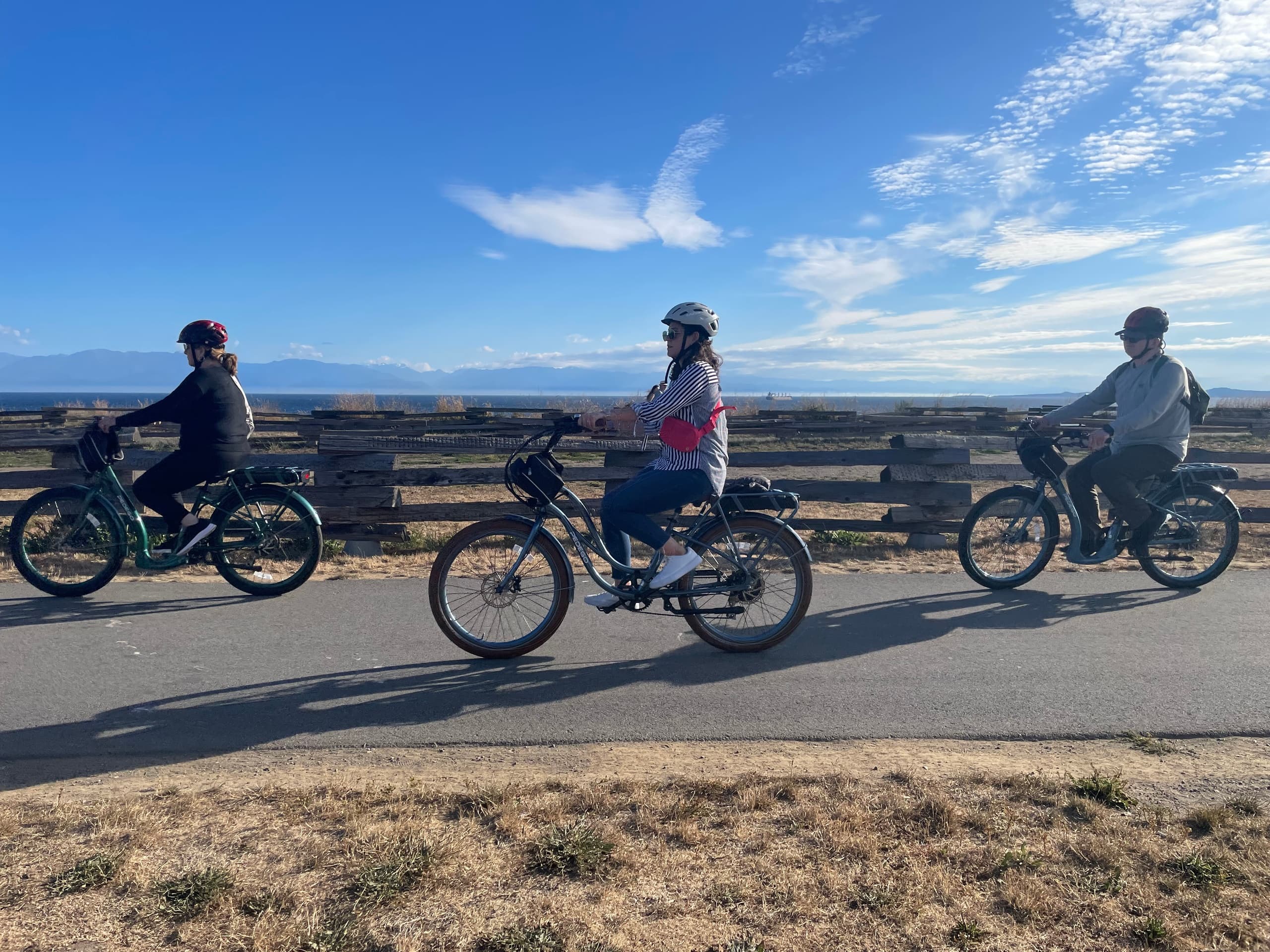 Pedego Electric Bikes Victoria fleet