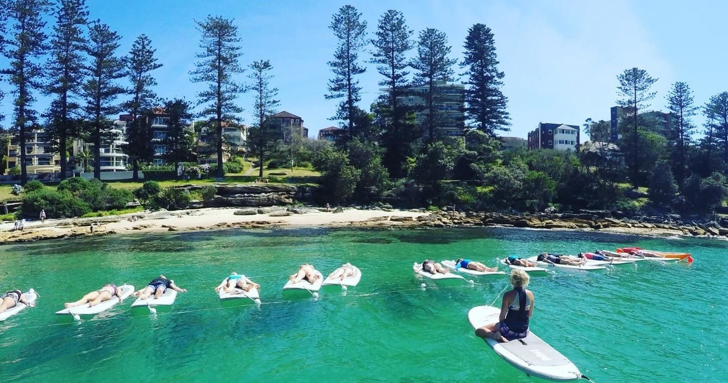 Group stand-up paddleboarding in a turquoise coastal bay near pine trees