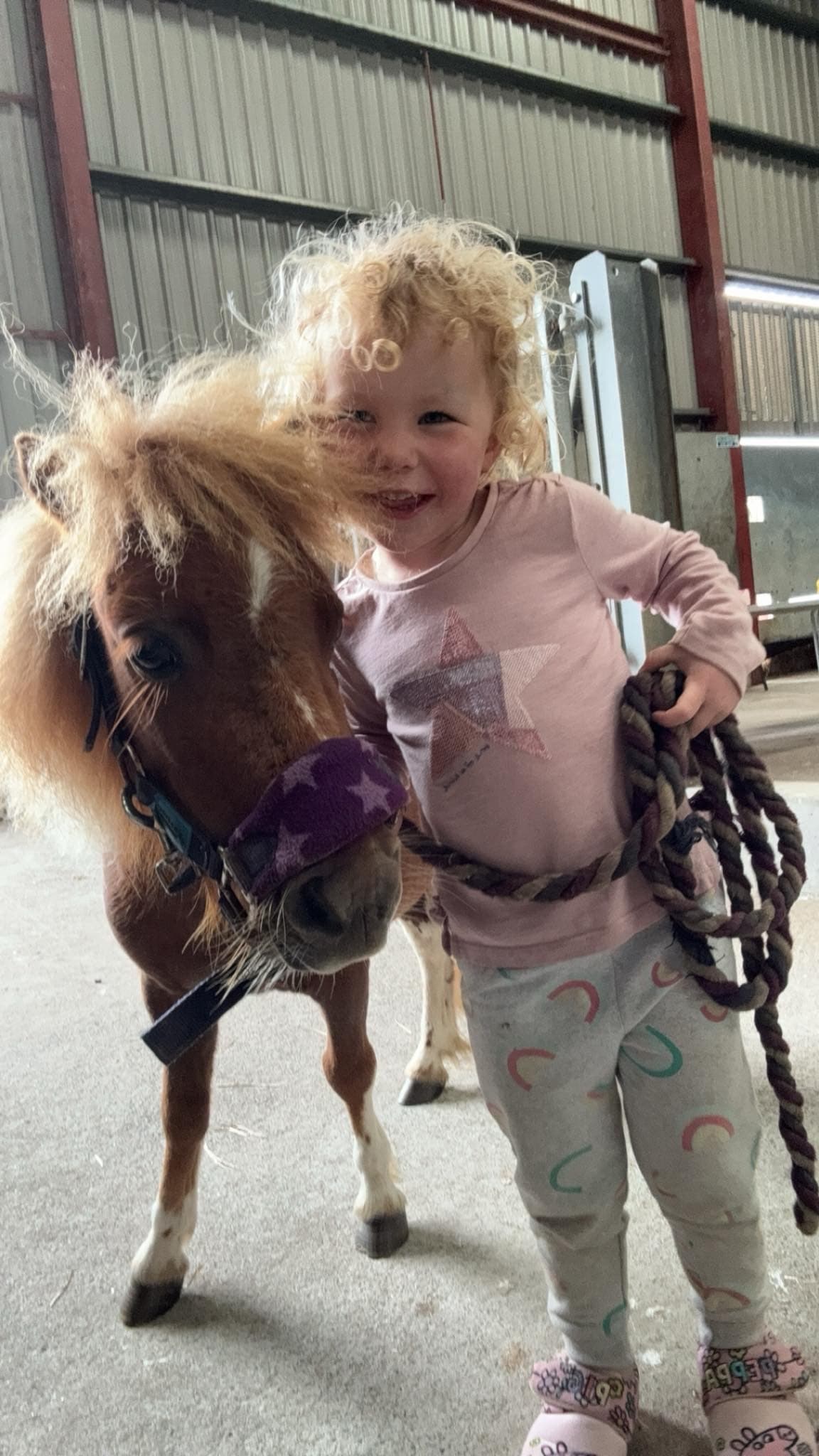 Pony Time Experience at Tamala Farm: Charming Animal Encounter for Kids in Whitecairns
