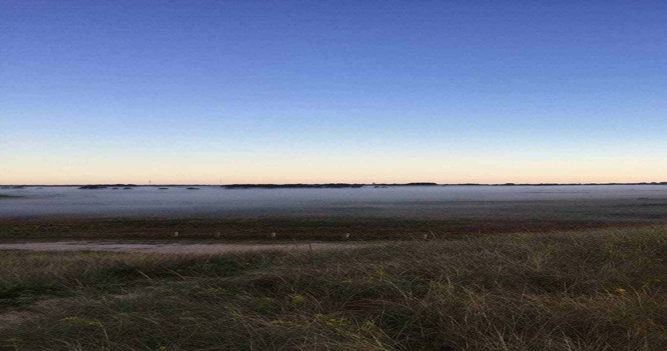 Wildlife & Nature Adventure at Smooth Hummocks on Nantucket