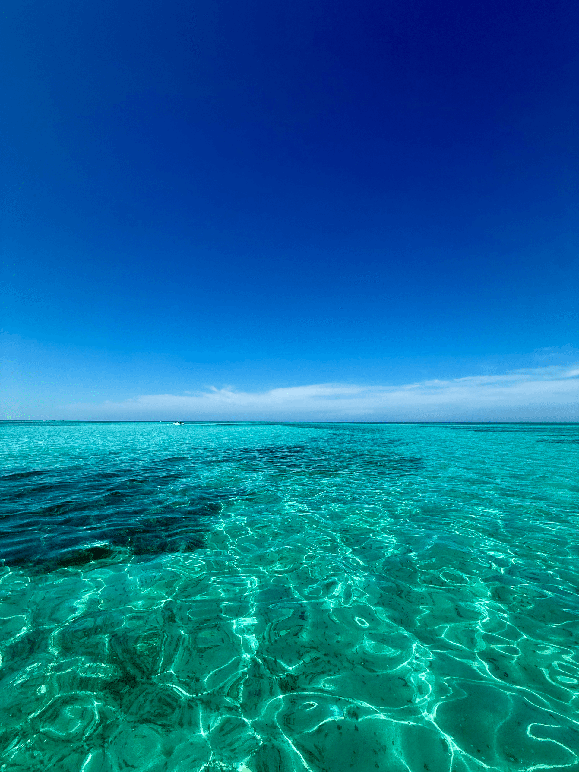 Full Day Sail with Mystic Blue: Private Key West Reefs & Islands Charter photo 3