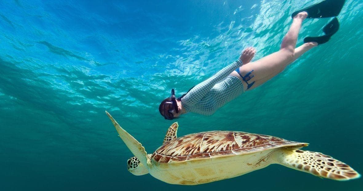 2 Hour Snorkel with Turtles & Water Scooter in Honolulu
