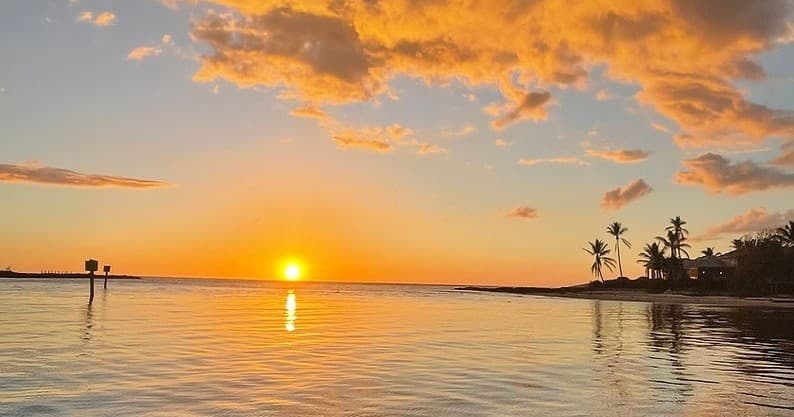 Private Naples Sunset Cruise on Continuity — Dolphins & Gulf Views
