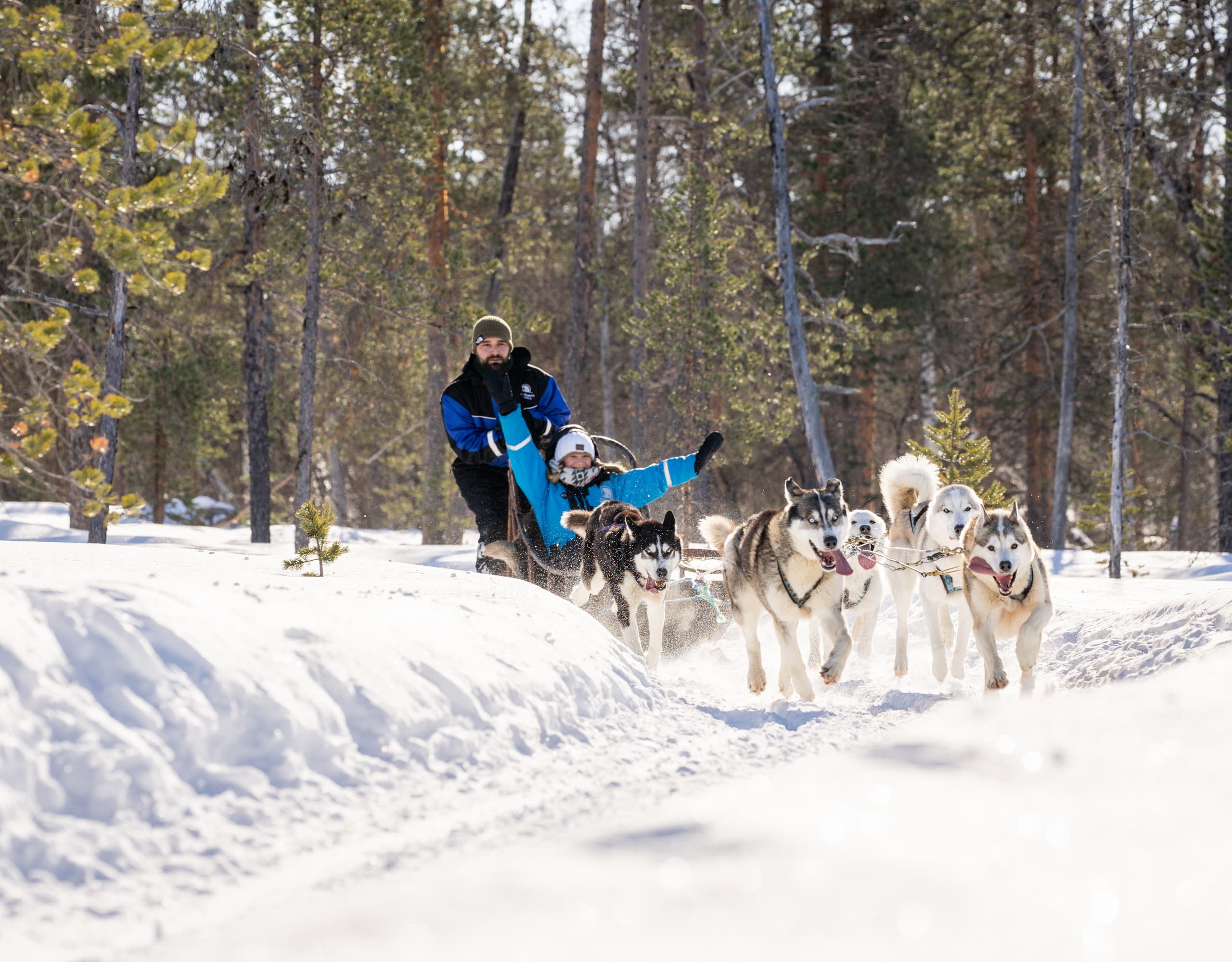 Husky & Reindeer Adventure with Wilderness Hotel - Nangu