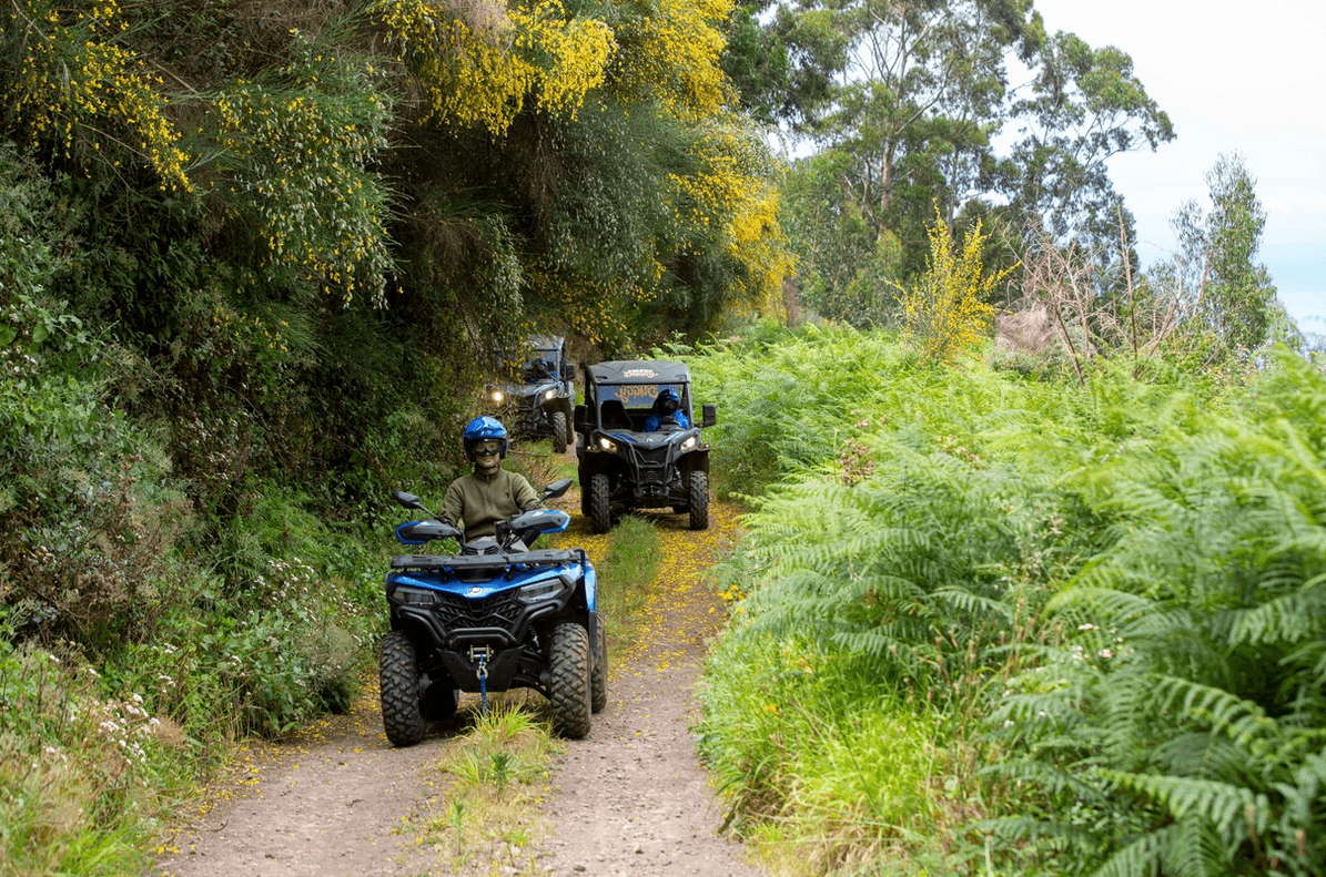 ATV leading a convoy through a fern-lined forest track, off-road tour