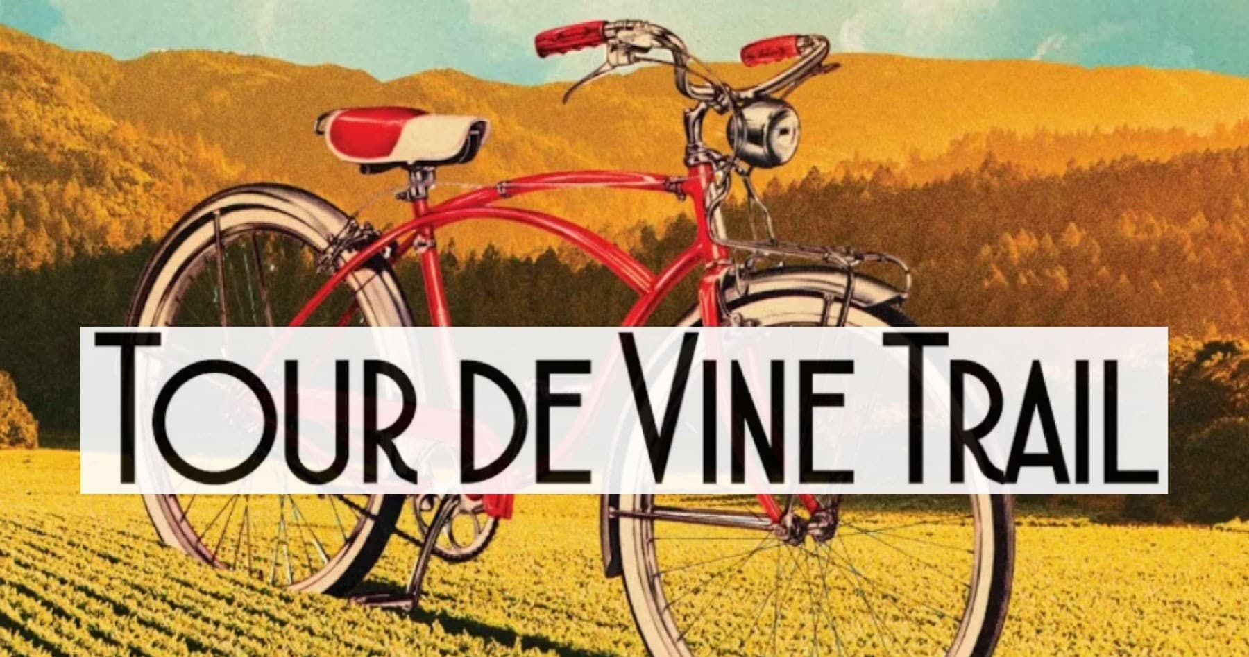 Tour De Vine Trail Bike Rental in St. Helena, CA