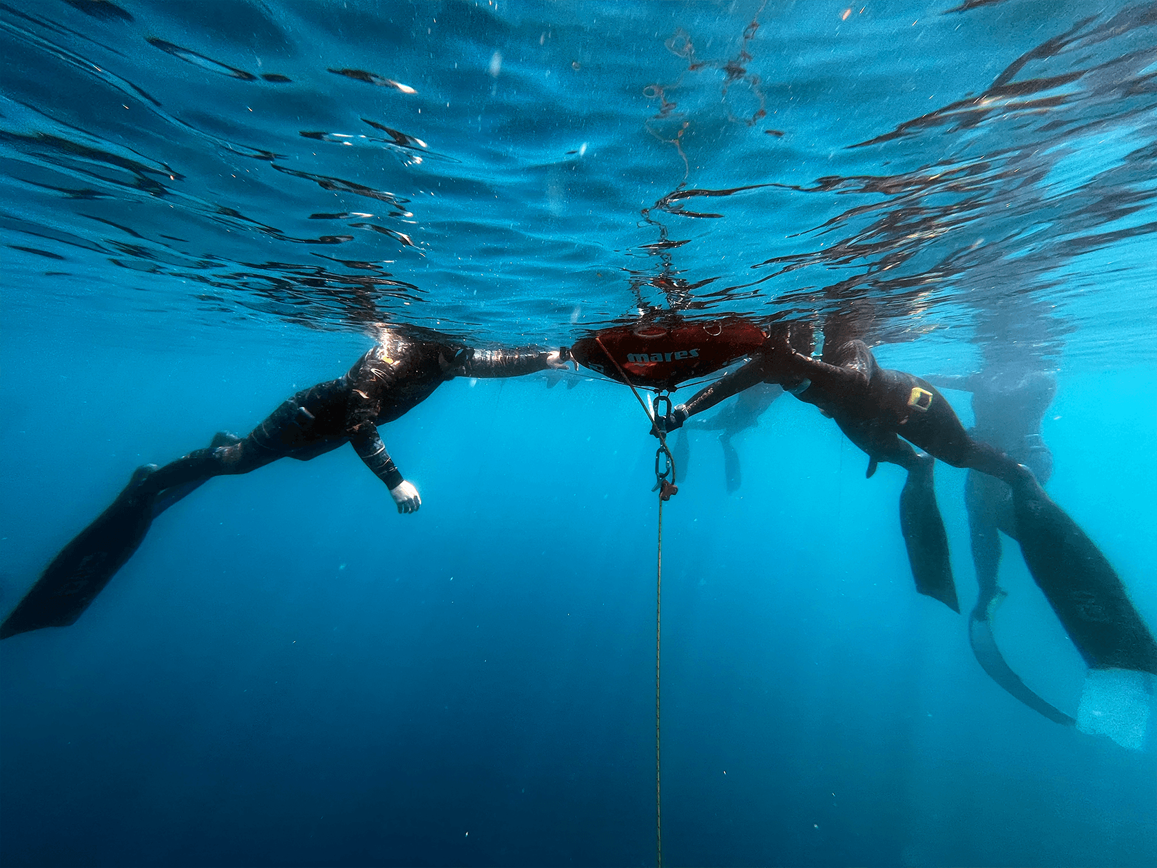 Discover SSI Intro to Freedive: Explore San Francisco’s Underwater World