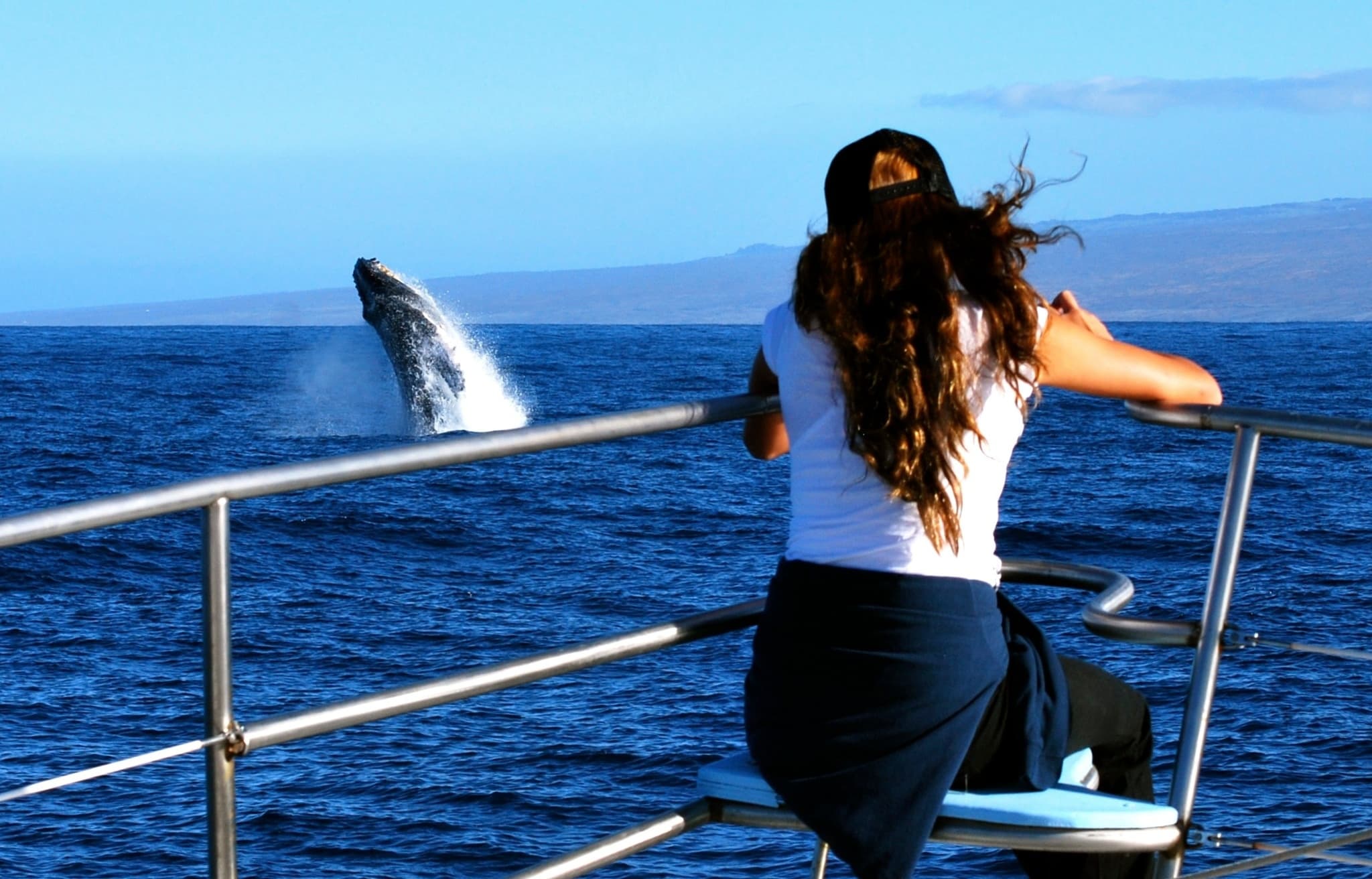 Snorkel Whale Watch Adventure at Anaeho’omalu Bay, Hawaii