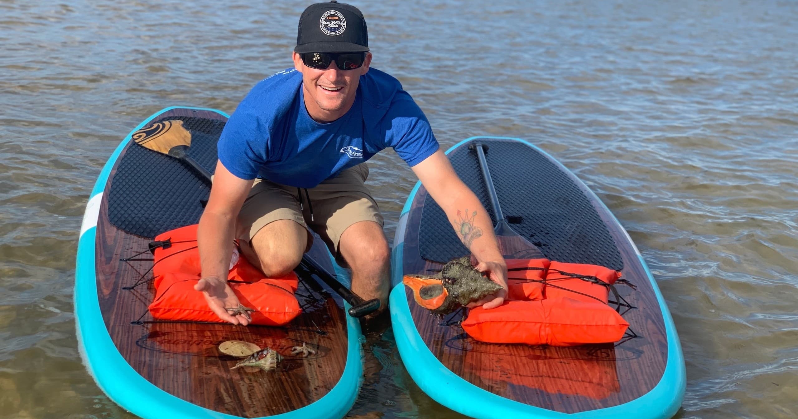 Explore Marco Island’s Wildlife: Dolphin and Manatee Adventure Tour with a Historical Twist