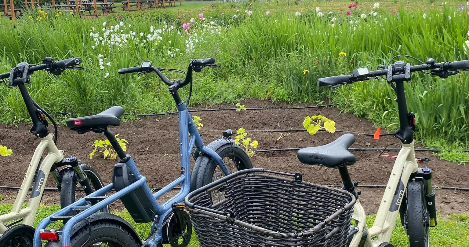 Private Banks-Vernonia Pedal & Pour Bike Tour in Portland