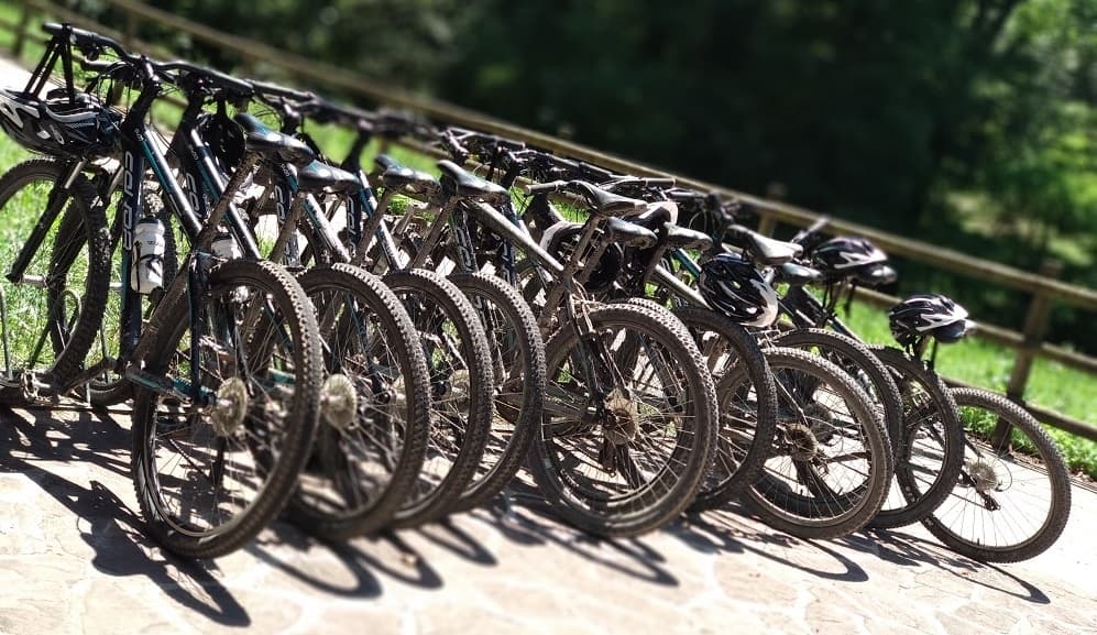 Row of rental mountain bikes lined up on sunlit stone patio