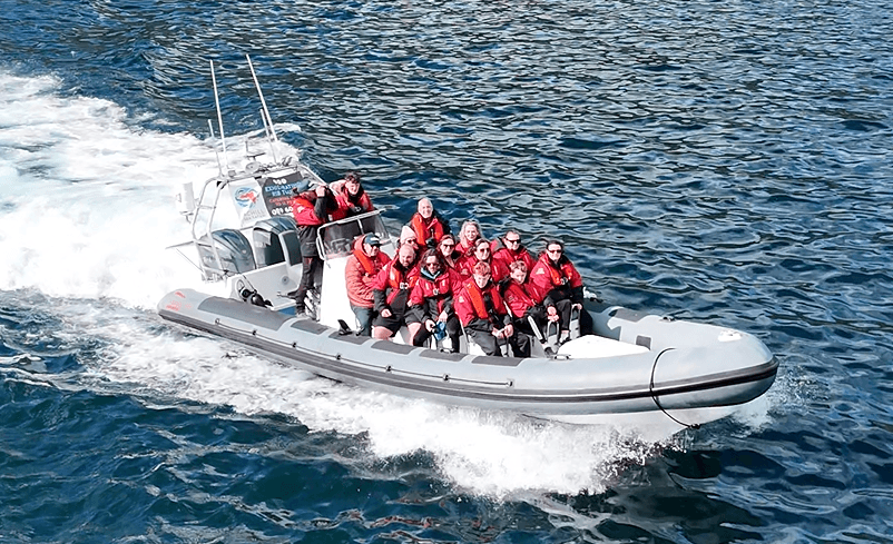 Sea Safari Adventure with Achill Sea Safari in Co. Mayo