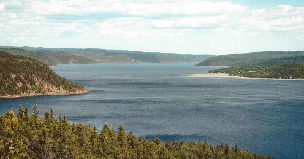 Panoramic fjord and shoreline vista ideal for scenic helicopter tours