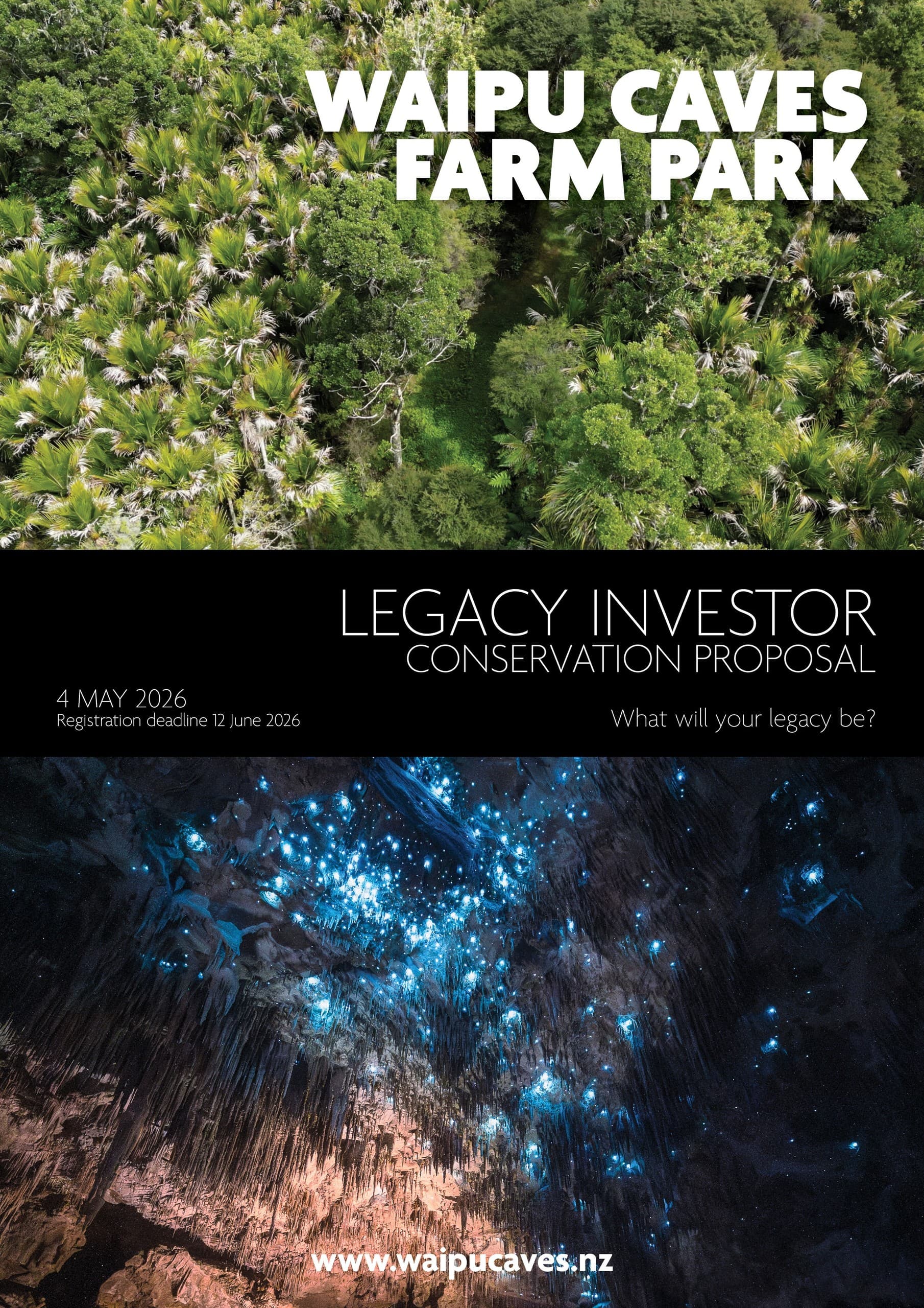 Under the Glow: Waipu Caves Limestone & Glowworm Tour in Northland