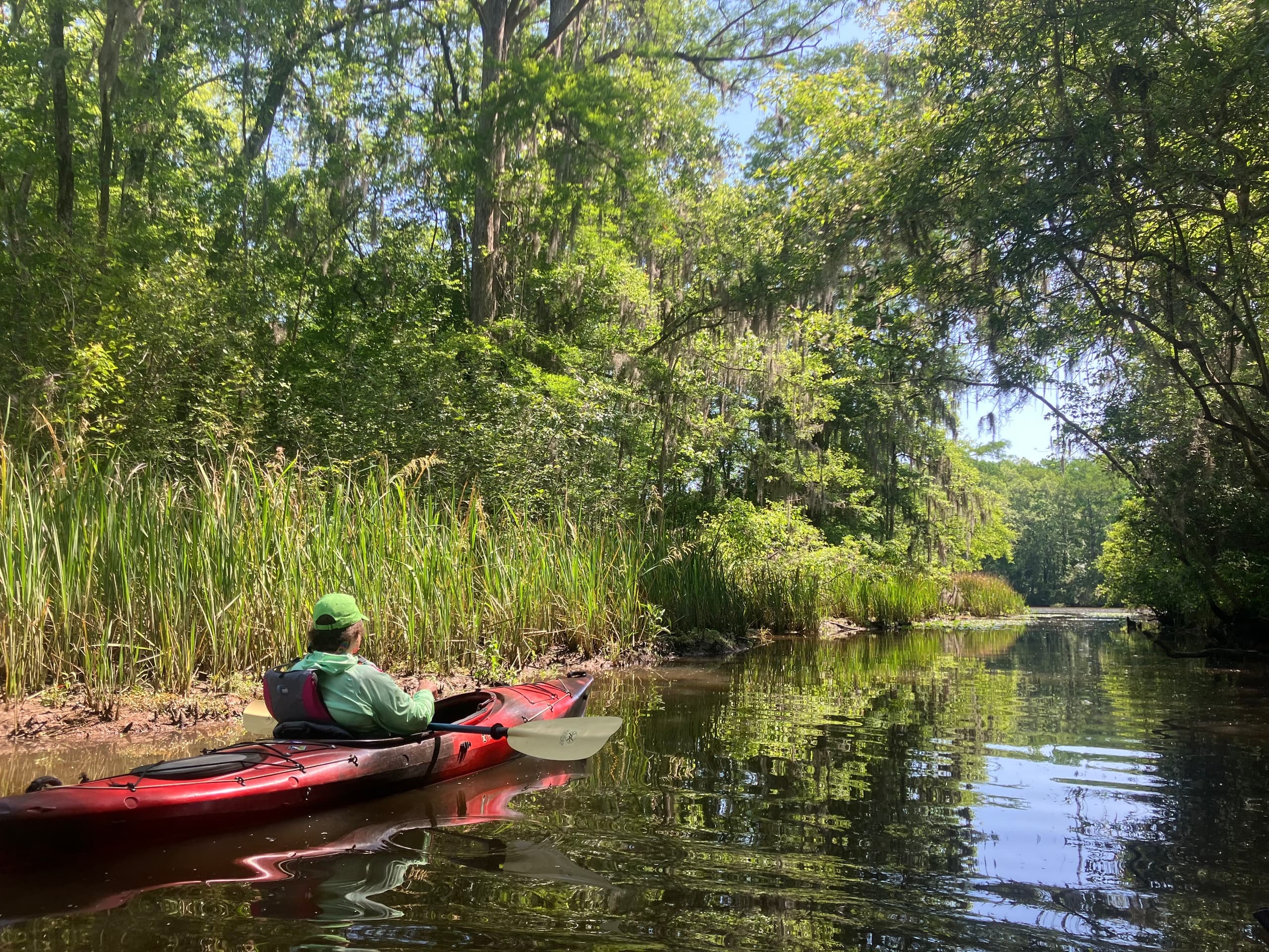 Water Activities & Land Adventures at Waccamaw River & Sandy Island