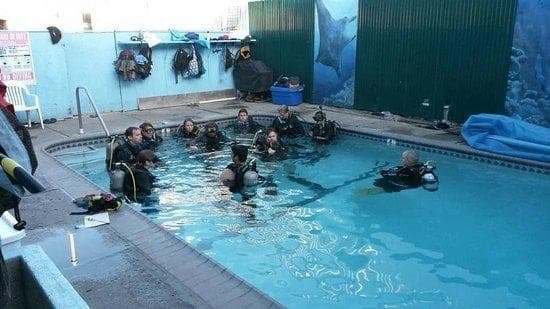 SDI SF Open Water Evenings: Dive San Francisco Waters