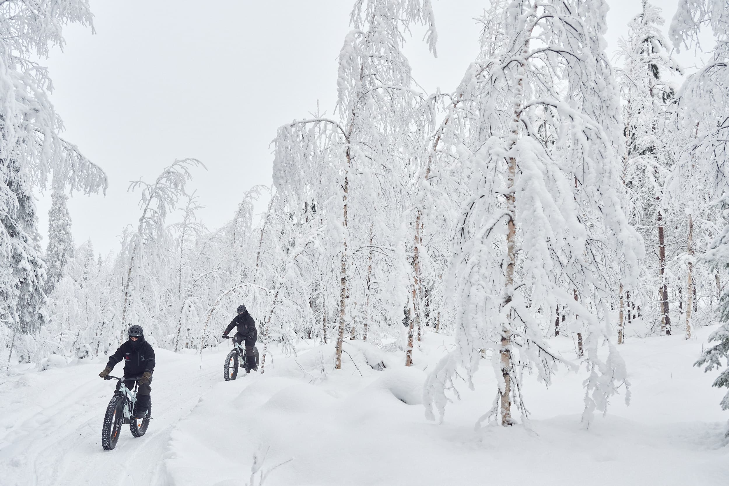 Electric Fatbiking Around Ylitornio: Arctic Trails and Aurora Rides in Lappi photo 2