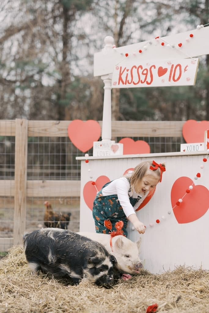 Hogs and Kisses Piglet Mini Sessions: Chesapeake Valentine Piglet Photo Booth photo 1