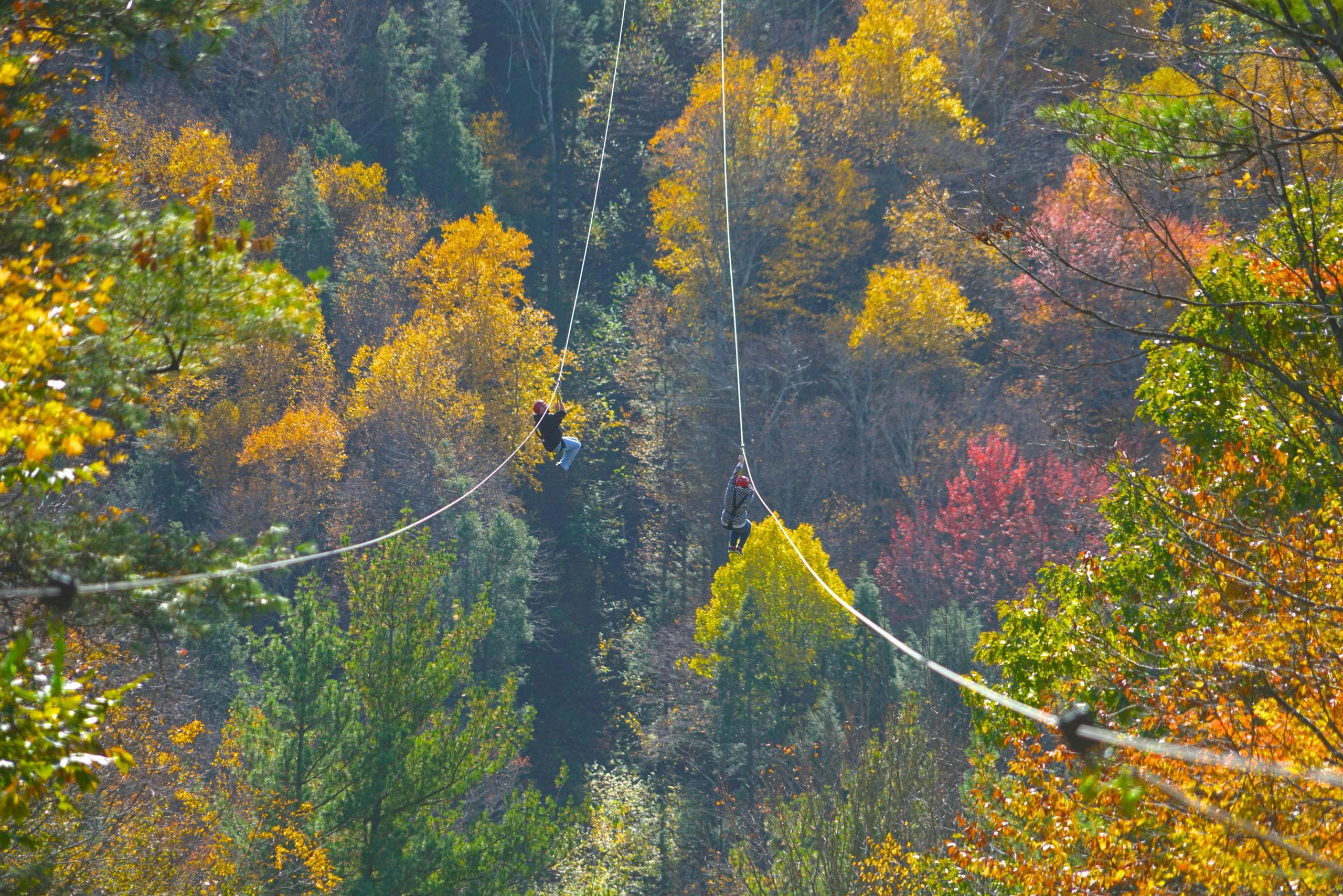 Zip Line Adventure at Berkshire East Mountain Resort in Massachusetts