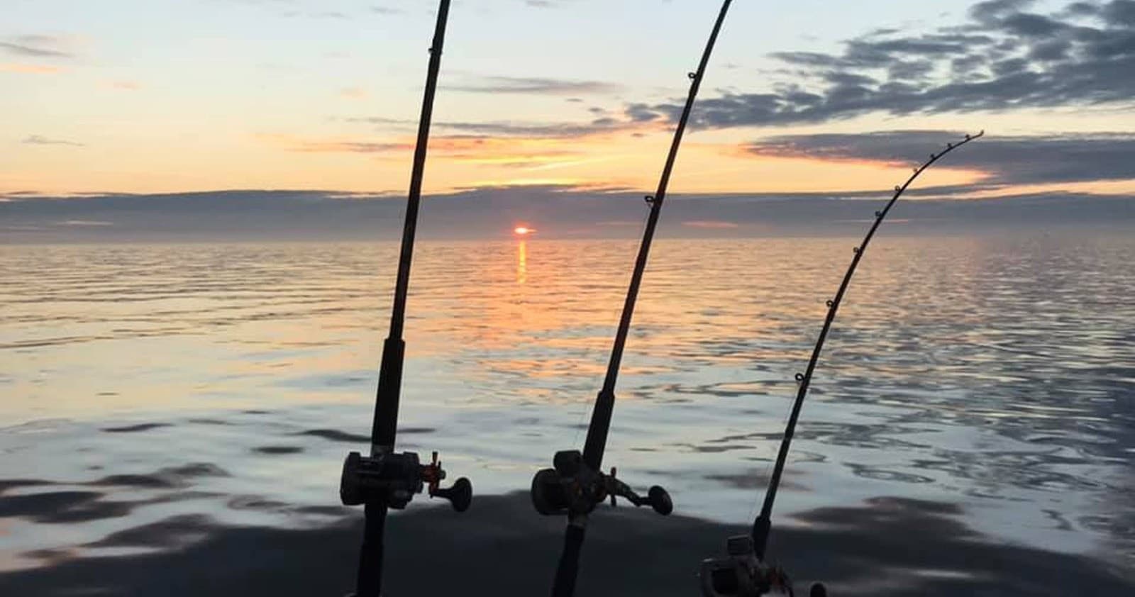 Lake Erie Half-Day Walleye & Perch Charter from Vermilion
