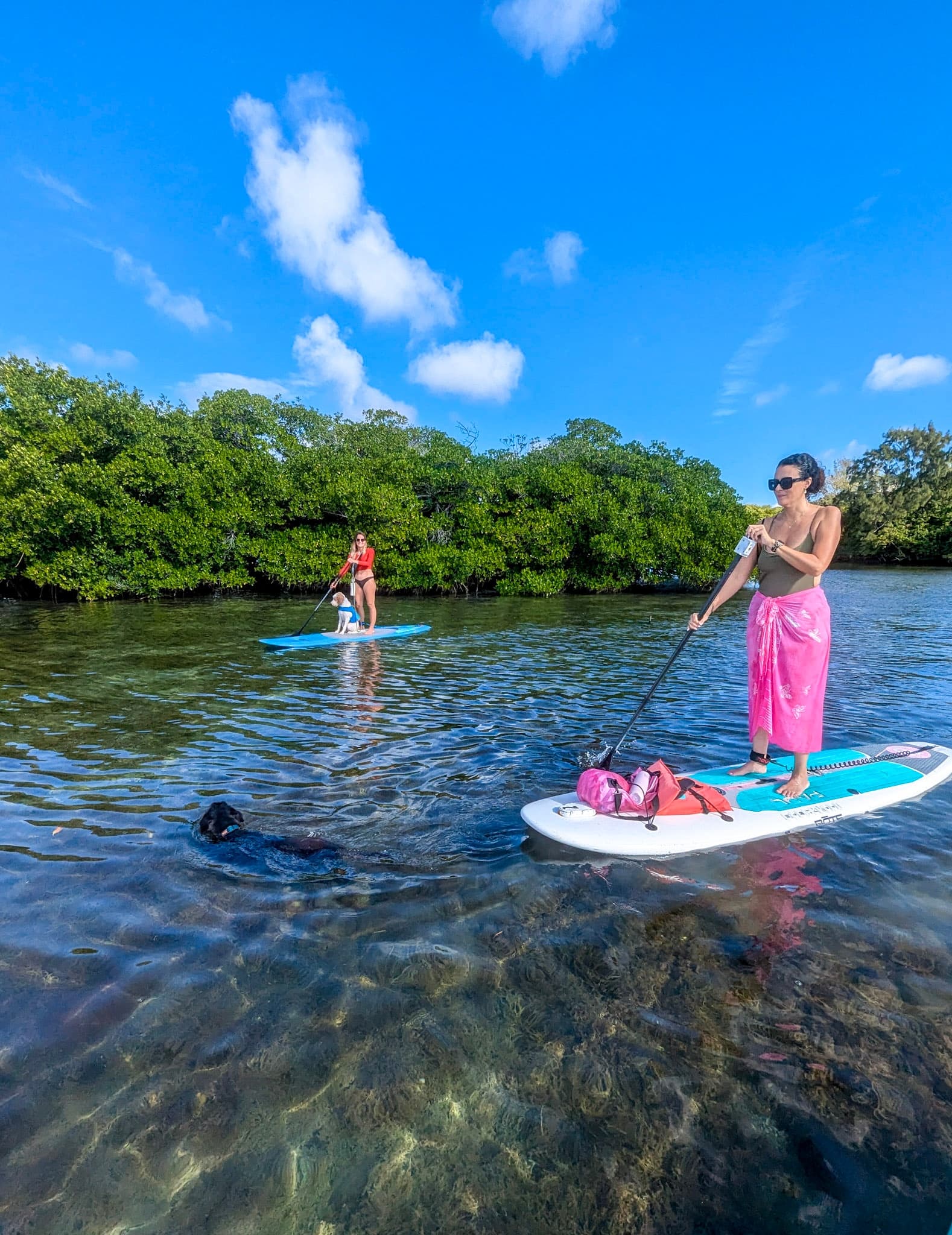 Stand-Up Paddleboarding in Biscayne Bay: PADL Rentals at Hobie Beach, Miami photo 4