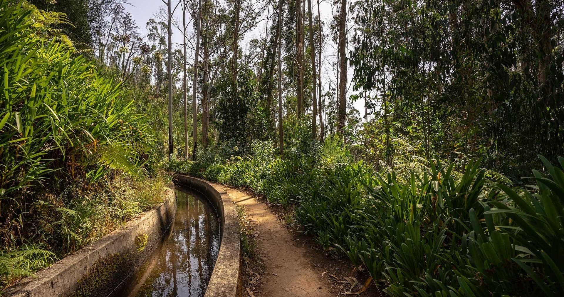 Levada dos Prazeres – Ponta do Pargo with Madeira Happy Tours