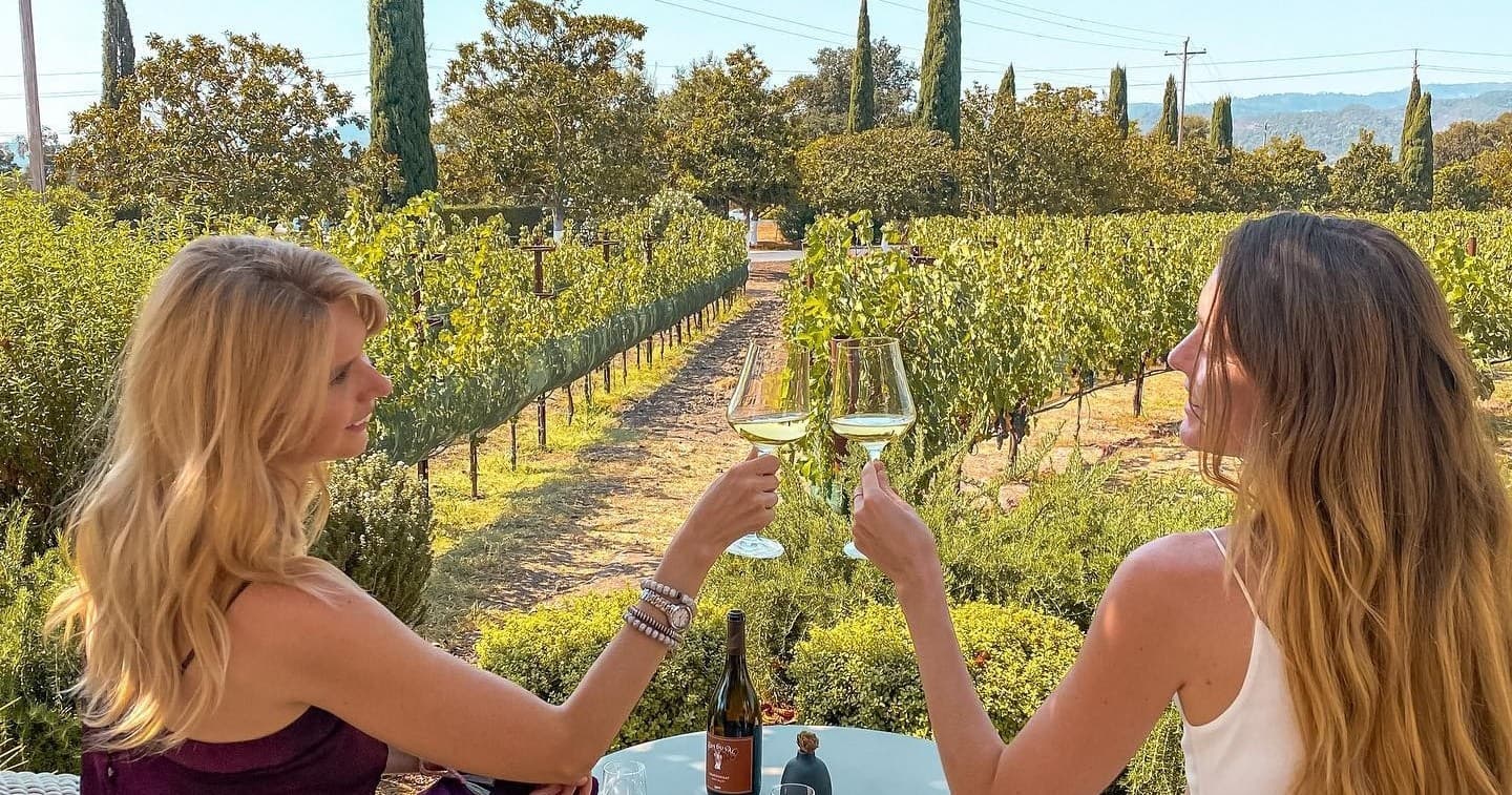 Friends toasting with wine in Napa Valley vineyard tasting
