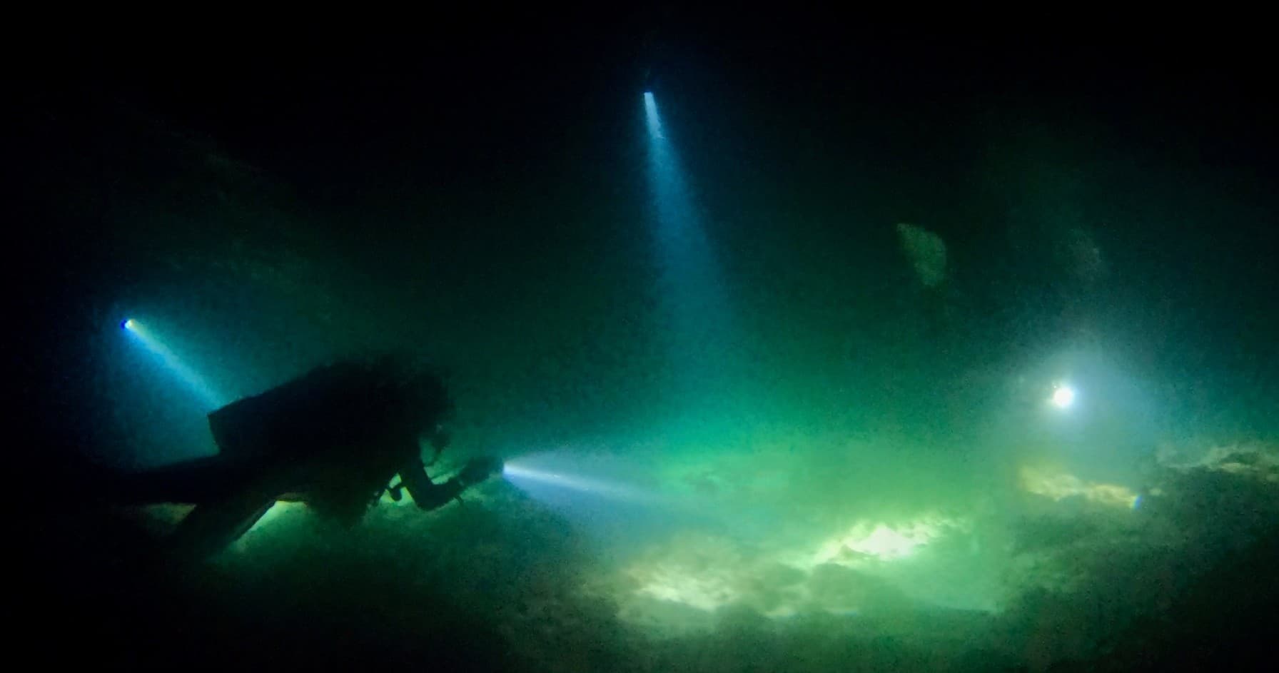 Night Dive Adventure at Cook Island with Gold Coast Dive Centre